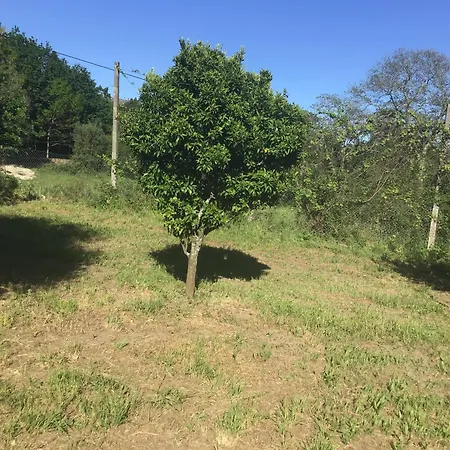 Feriehus Quinta Dos Trilhos *