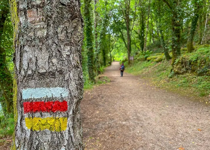 度假居 Quinta Dos Trilhos 法菲